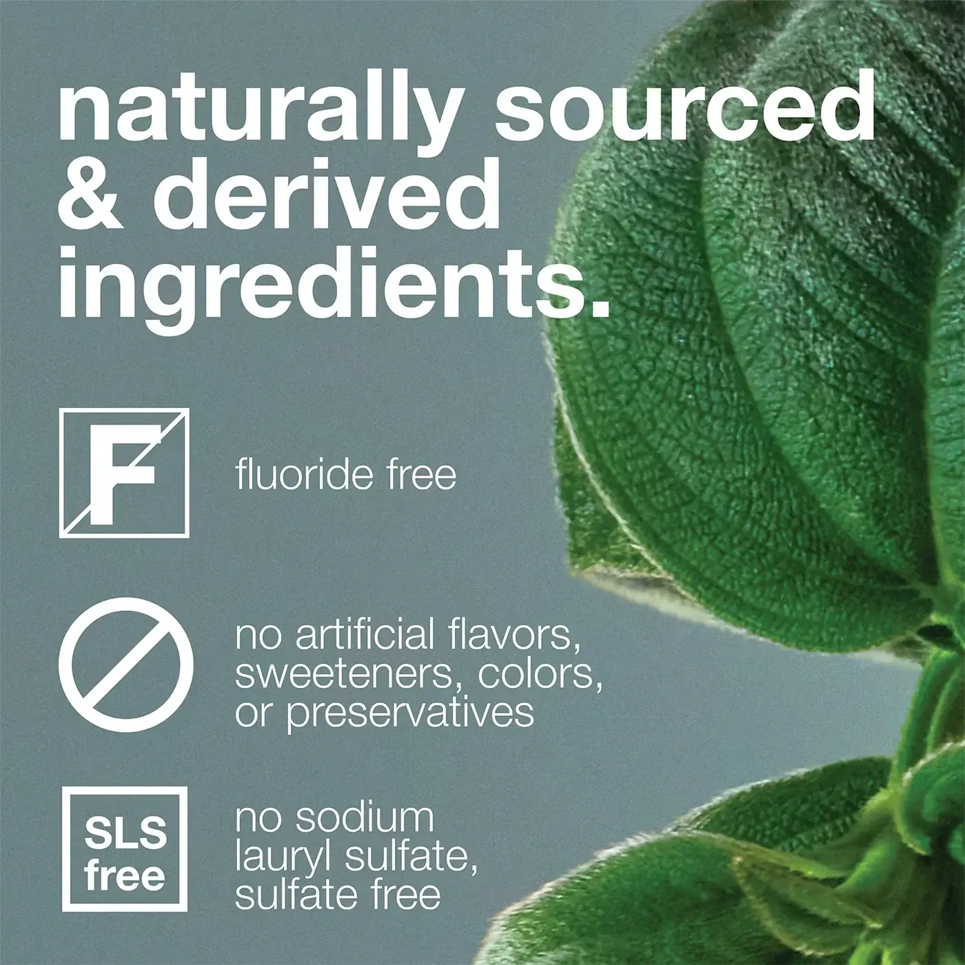 Davids - Premium Toothpaste | Peppermint - The Bare Theory