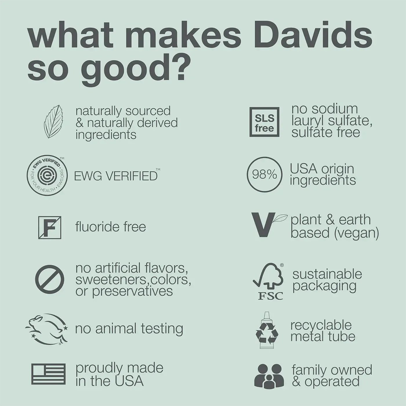 Davids - Premium Toothpaste | Peppermint - The Bare Theory