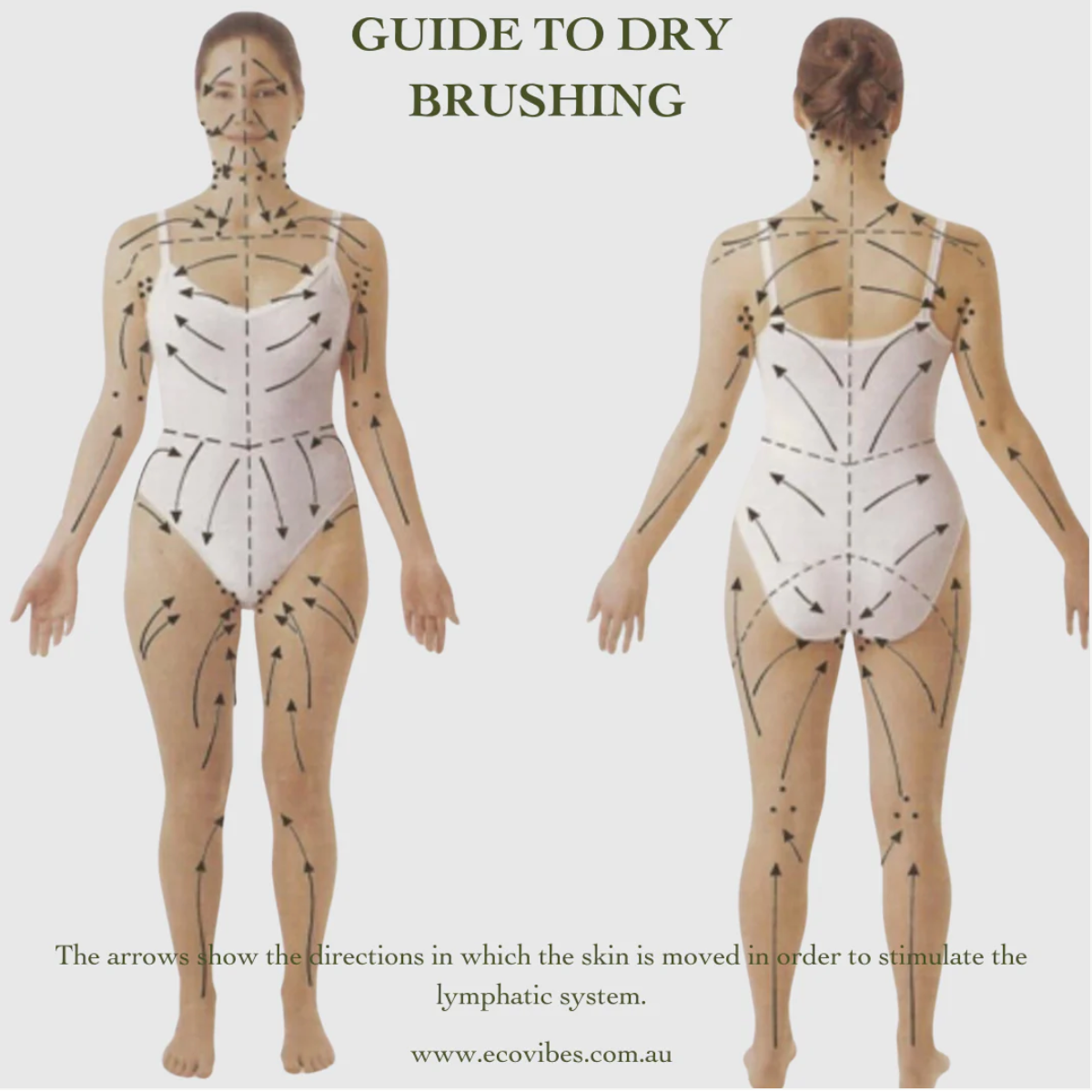 EcoVibes - Ionic Body Brush - The Bare Theory