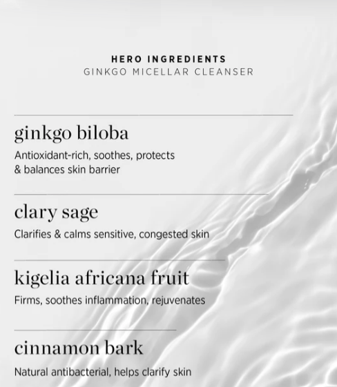 Ere Perez - Gingko Micellar Cleanser - 100ml - The Bare Theory