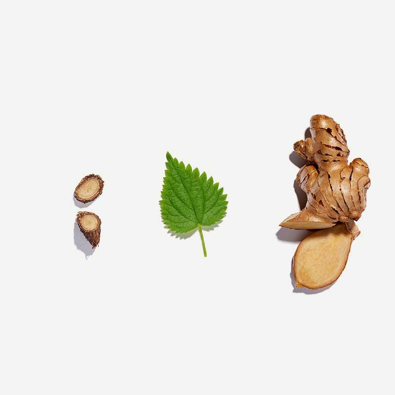 Love Tea - Detox Pyramid Tea Bags - The Bare Theory