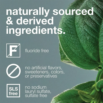 Davids - Premium Toothpaste | Peppermint - The Bare Theory