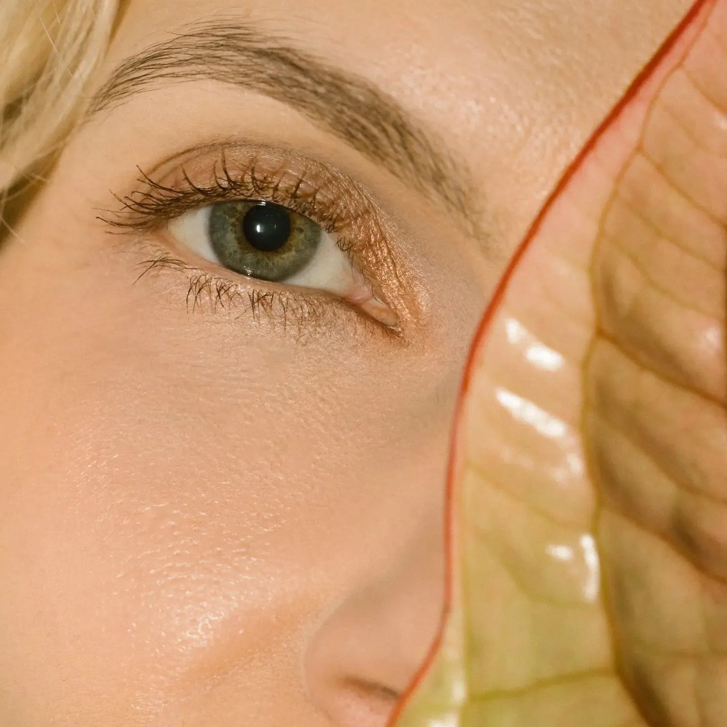 Eco By Sonya - Mitzi Mascara - The Bare Theory