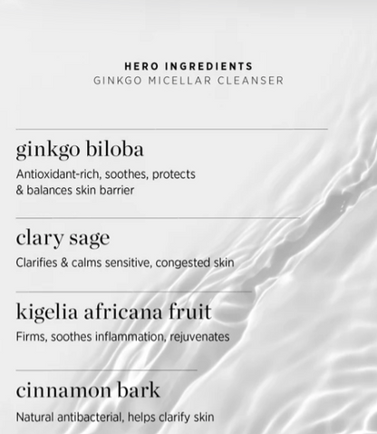 Ere Perez - Gingko Micellar Cleanser - 100ml - The Bare Theory