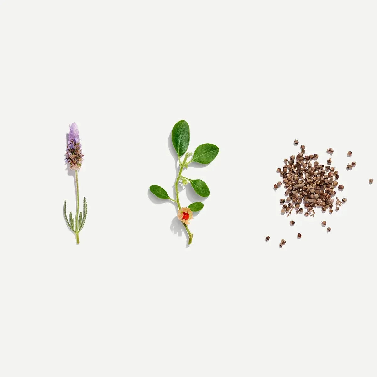 Love Tea - Female Tonic - Certified Organic Pyramids - The Bare Theory