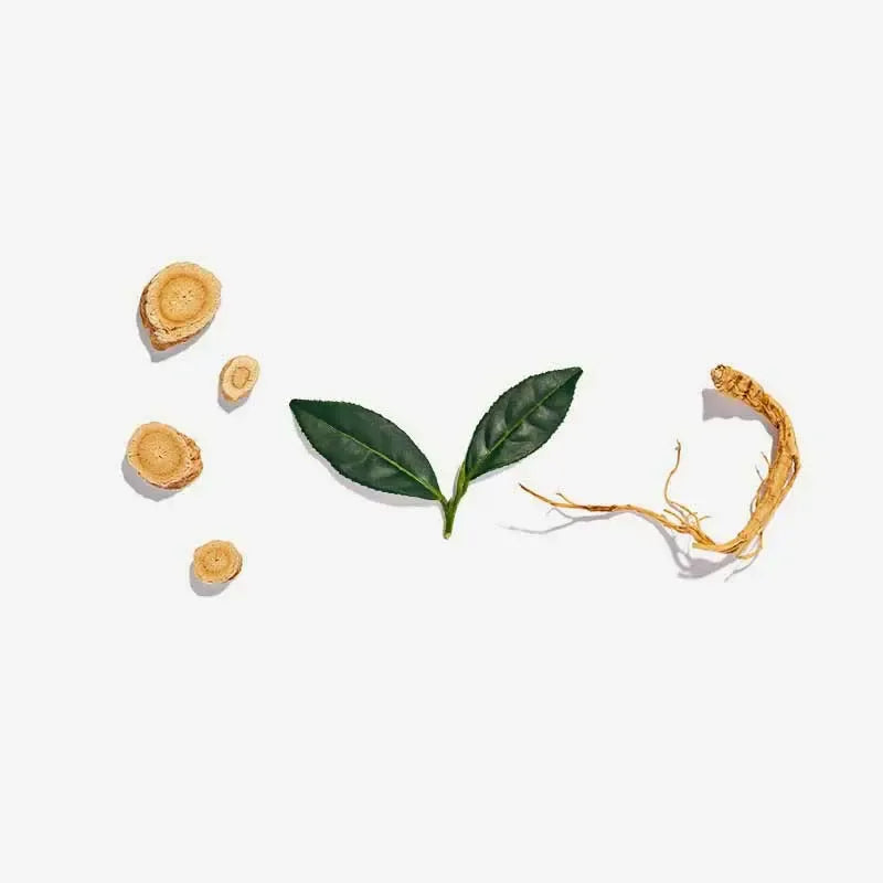 Love Tea - Vitality - Certifed Organic Pyramids - The Bare Theory