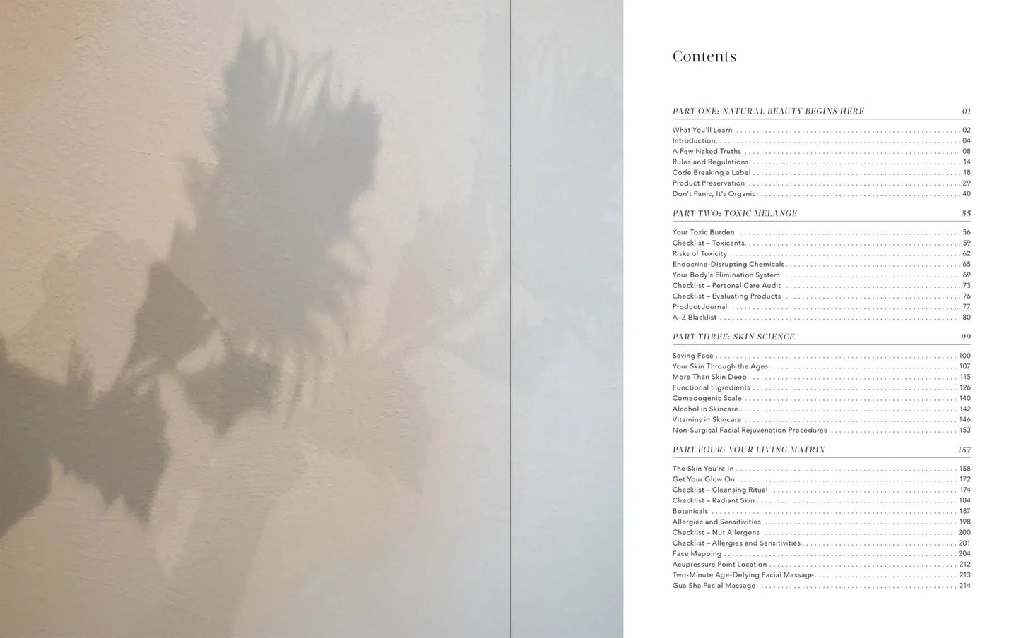 Mukti - Truth in Beauty Book - 2nd Edition (physical copy) - The Bare Theory