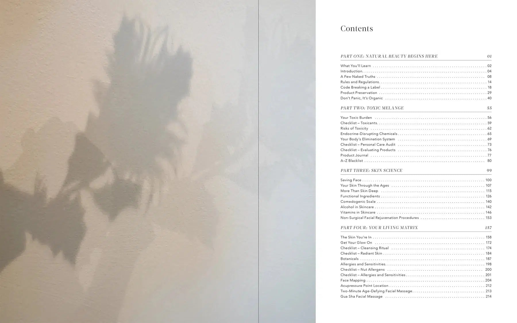 Mukti - Truth in Beauty Book - 2nd Edition (physical copy) - The Bare Theory