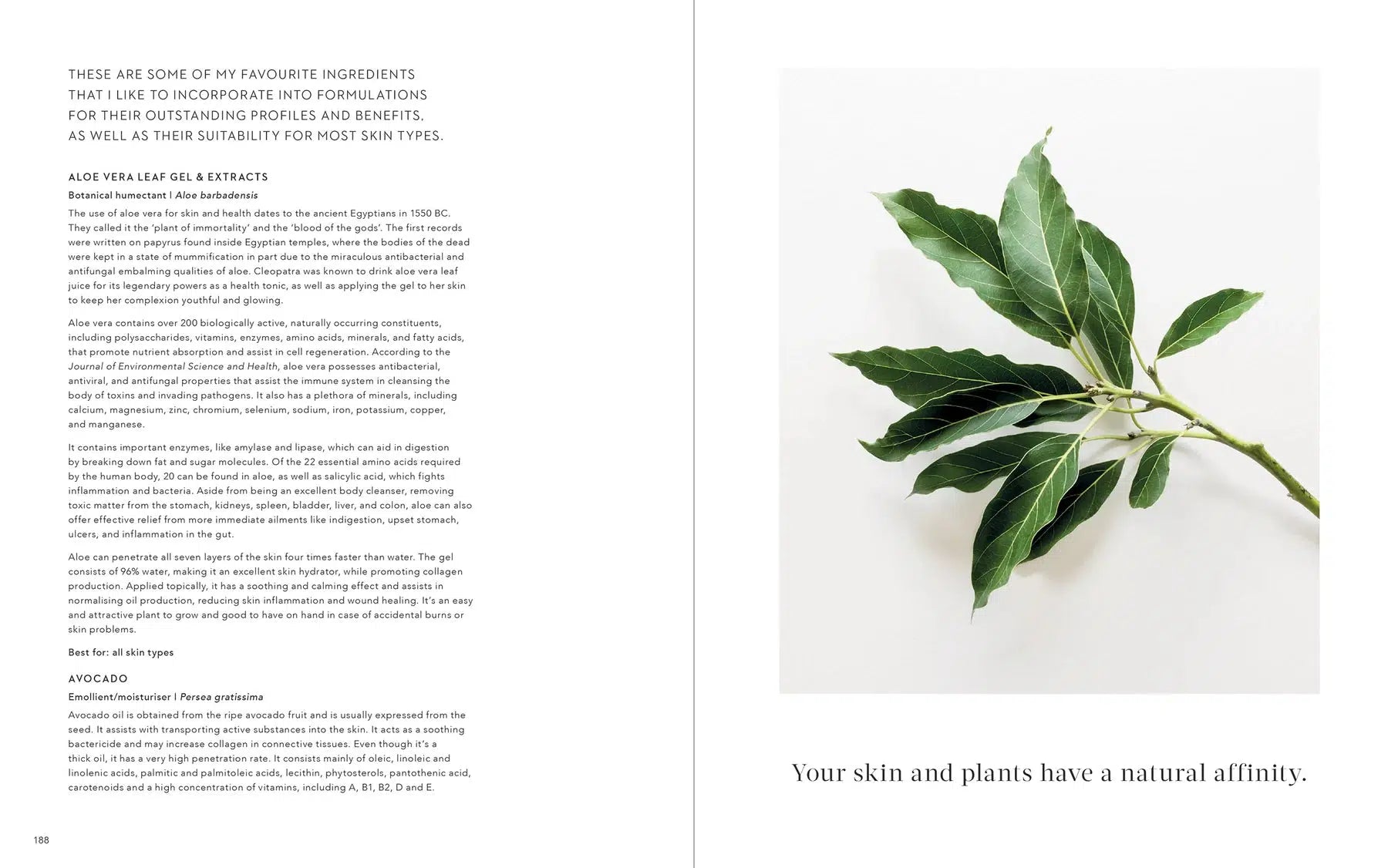 Mukti - Truth in Beauty Book - 2nd Edition (physical copy) - The Bare Theory
