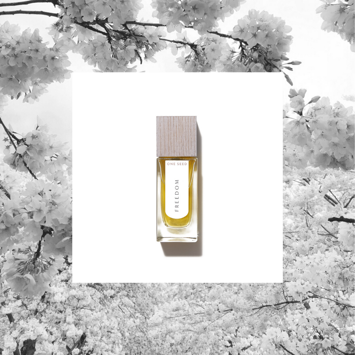 One Seed - Freedom eau de parfum 30ml - The Bare Theory