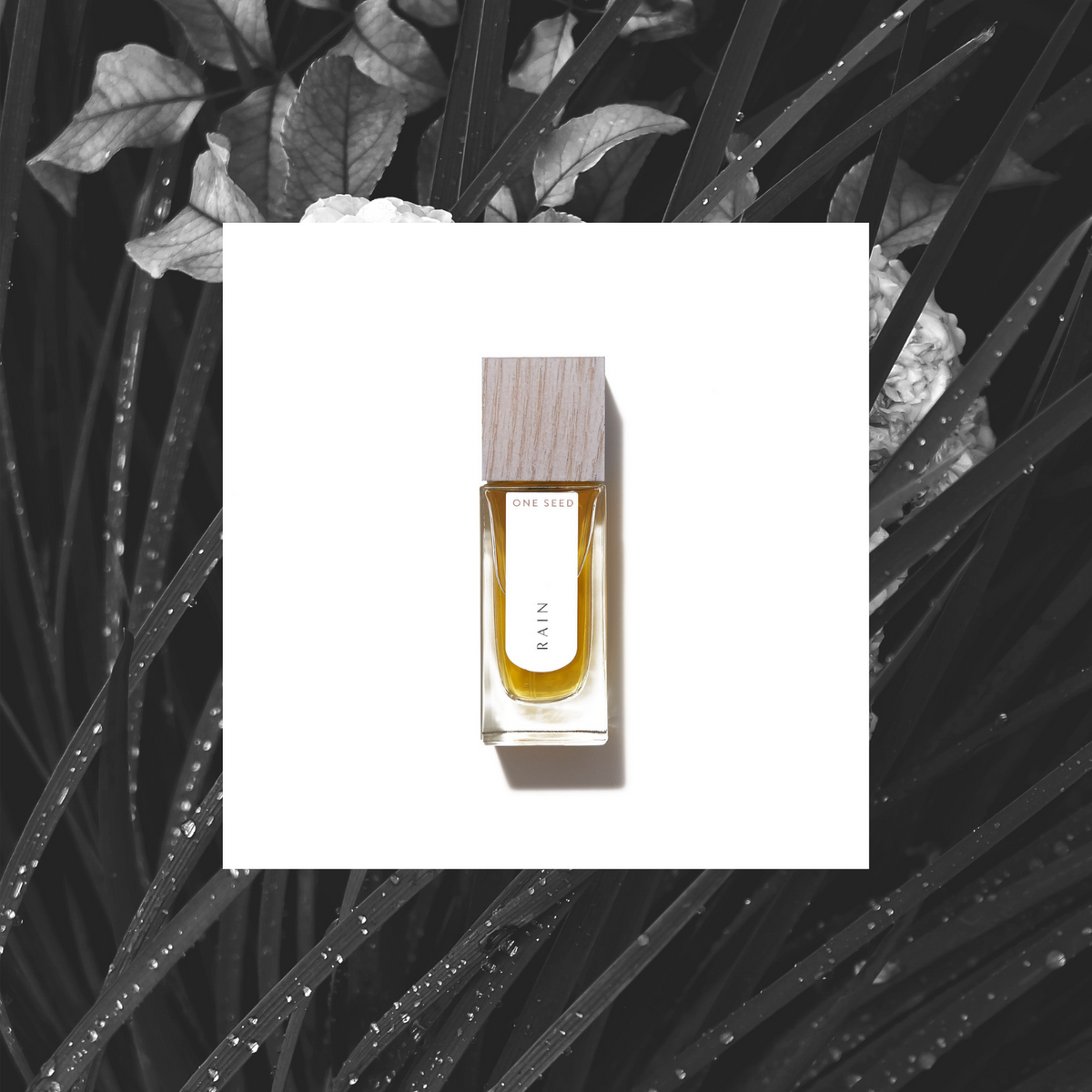 One Seed - Rain eau de parfum 30ml - The Bare Theory