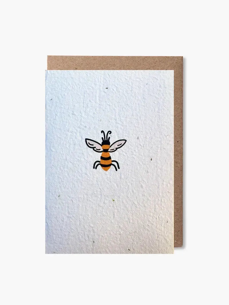 Paper and Bloom - Plantable Cards - The Bare Theory