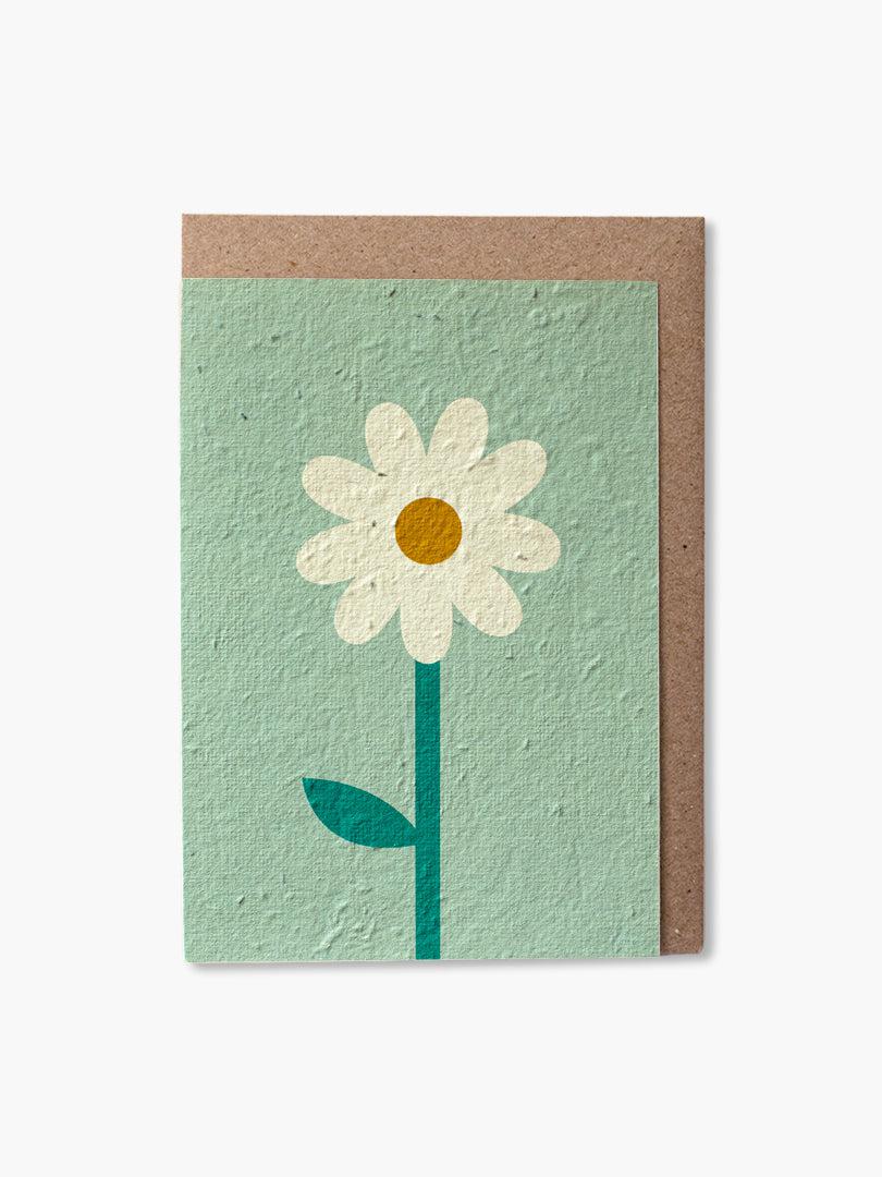 Paper and Bloom - Plantable Cards - The Bare Theory
