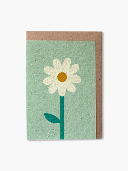 Paper and Bloom - Plantable Cards - The Bare Theory