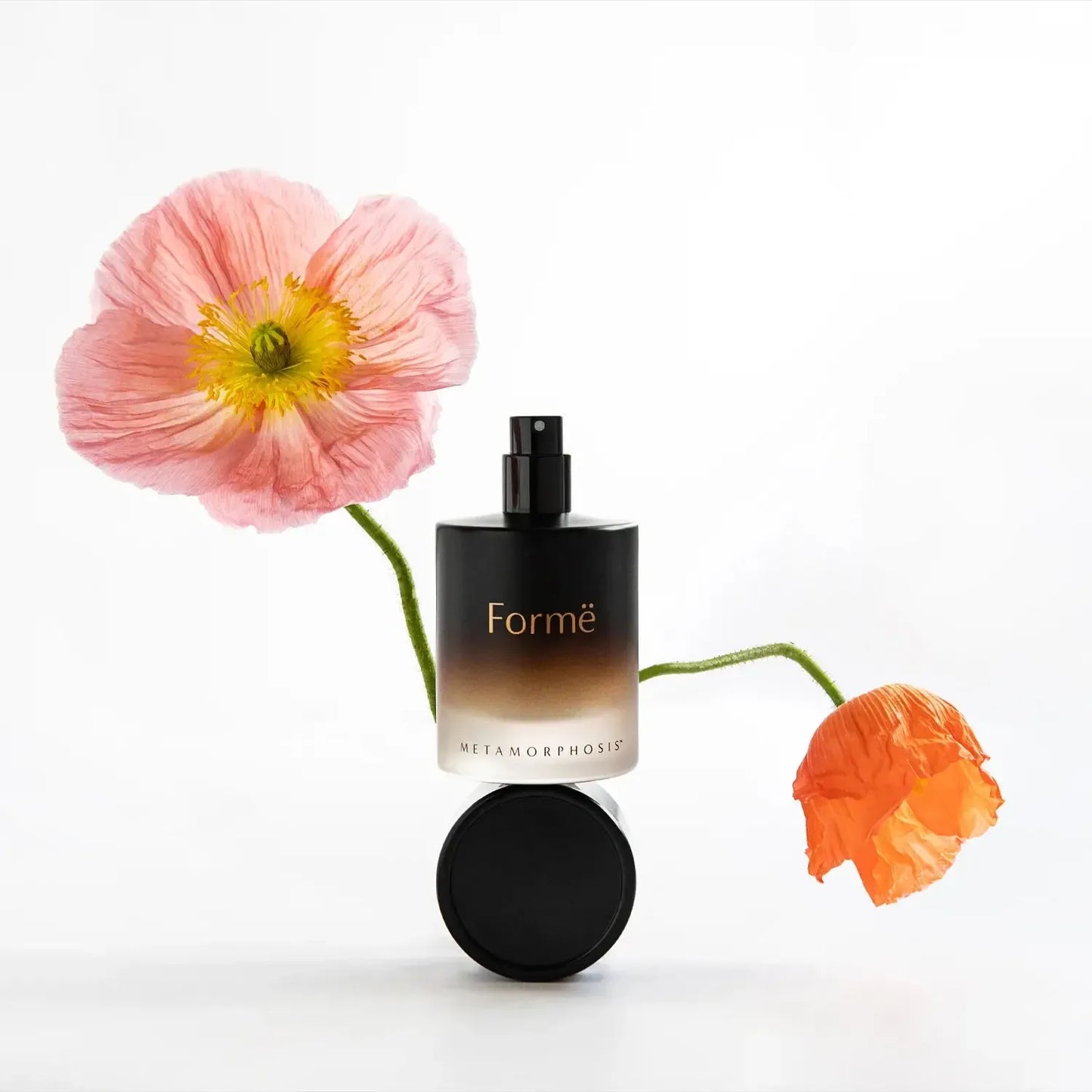 Vanessa Megan - Metamorphosis | Formë | Aromatherapeutic Perfume | 50ml - The Bare Theory